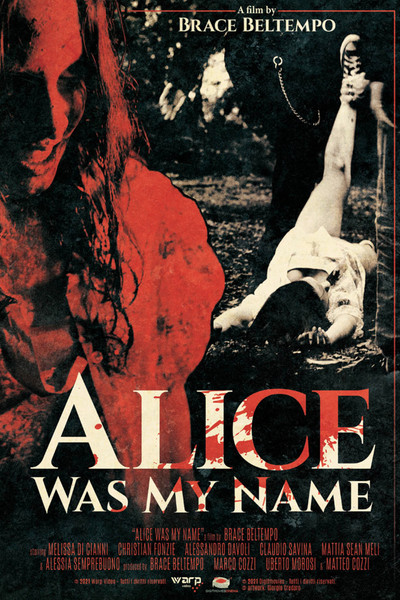 Póster de Alice was my name