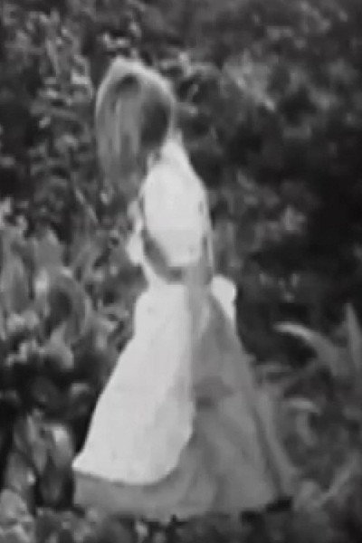 Póster de Alicia, Lewis Carroll y el tiempo