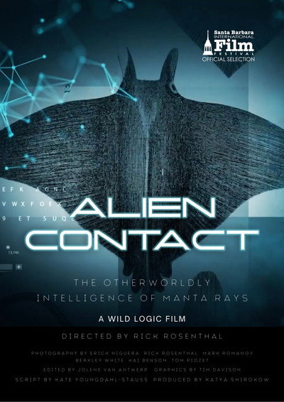 Póster de Alien Contact
