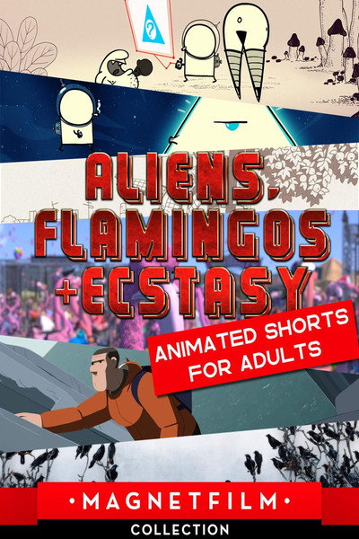 Póster de Aliens, Flamingos & Ecstasy