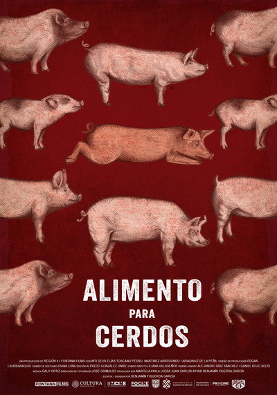 Póster de Alimento Para Cerdos