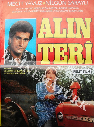 Póster de Alin Teri