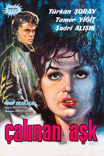 Póster de Çalinan ask