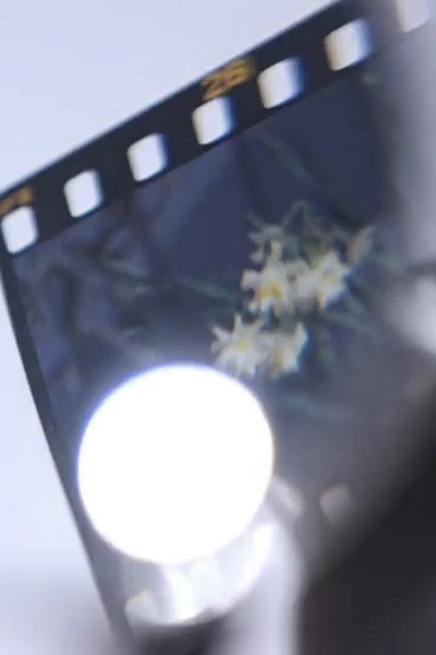 Póster de Aliquot Light