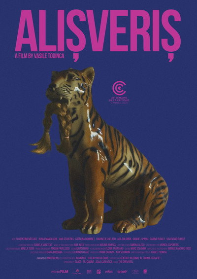 Póster de Alisveris