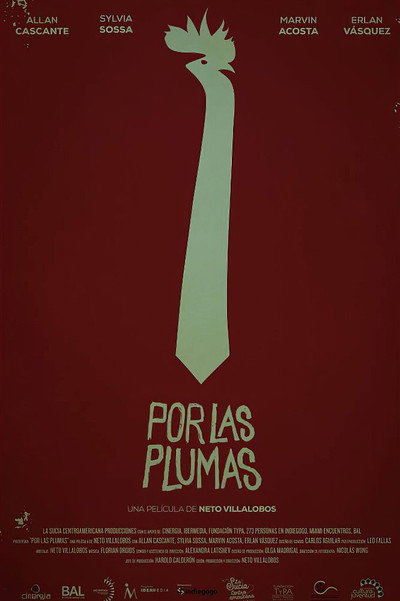 Póster de All About the Feathers