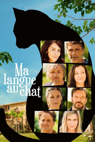 Póster de All Because of the Cat