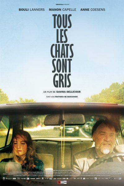 Póster de All Cats Are Grey