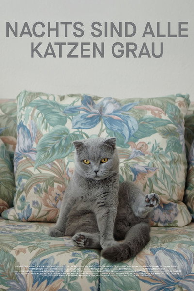 Póster de All Cats Are Grey in the Dark