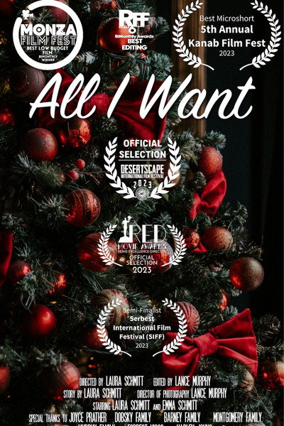 Póster de All I Want