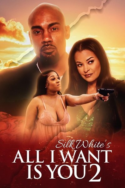 Póster de All I Want Is You 2