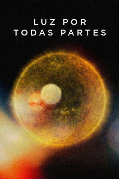 Póster de All Light, Everywhere