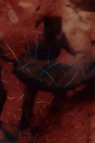 Póster de All that appears solid is built on blood
