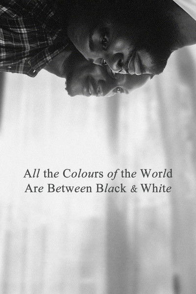Póster de All the Colours of the World are Between Black and White