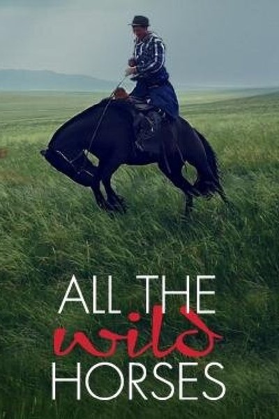 Póster de All the Wild Horses