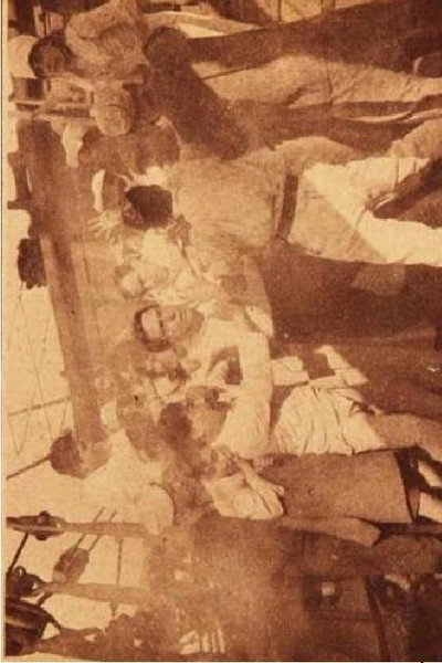 Póster de Alma chilena