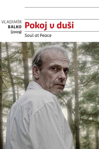 Póster de Alma en paz