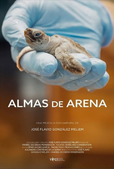 Póster de Almas de Arena