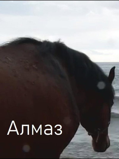 Póster de Almaz