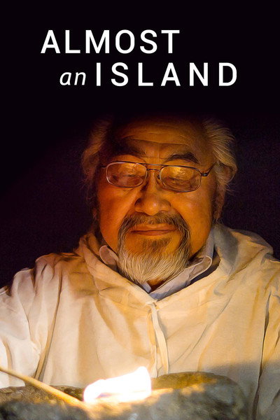 Póster de Almost an Island