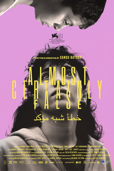 Póster de Almost Certainly False