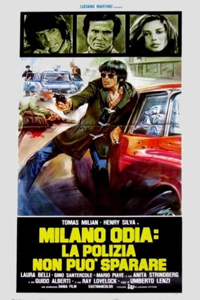 Póster de Almost Human