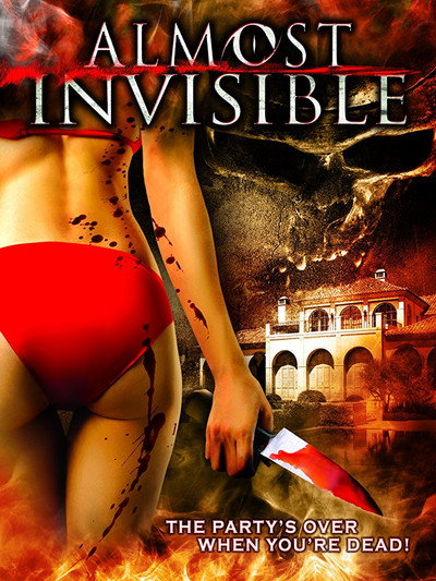 Póster de Almost Invisible