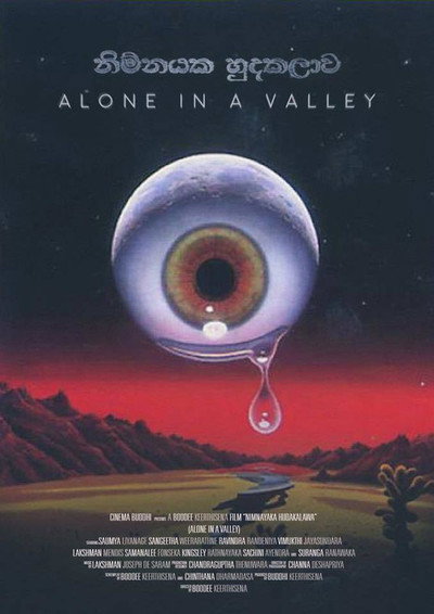Póster de Alone in a Valley