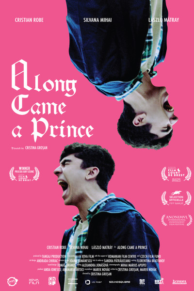 Póster de Along Came a Prince