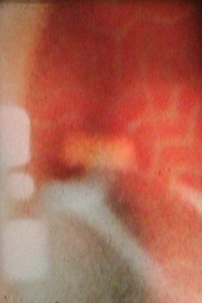 Póster de Along with the Phoenix