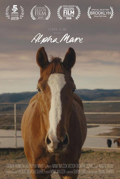 Póster de Alpha Mare