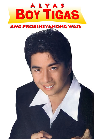 Póster de Alyas Boy Tigas: Ang probinsyanong wais