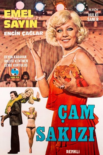 Póster de Çam Sakizi