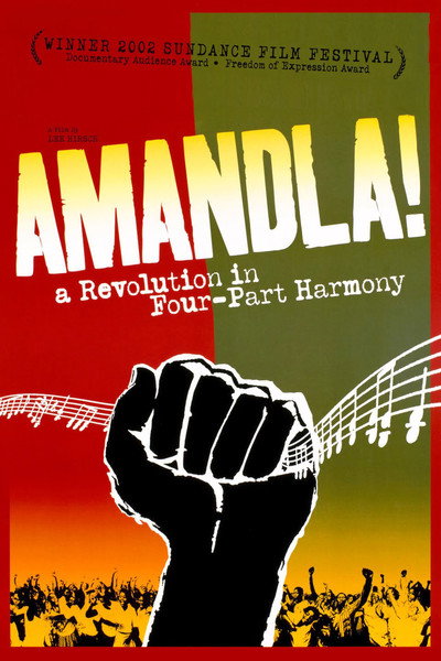 Póster de Amandla!