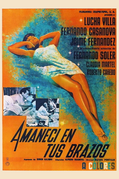 Póster de Amanecí en tus brazos