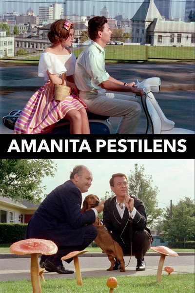 Póster de Amanita Pestilens