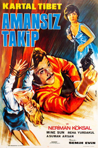 Póster de Amansiz Takip