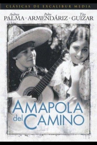 Póster de Amapola del camino