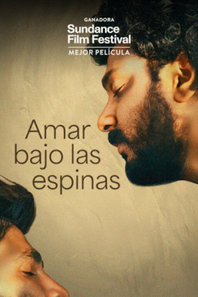 Póster de Amar bajo las espinas