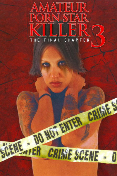 Póster de Amateur Porn Star Killer 3: The Final Chapter