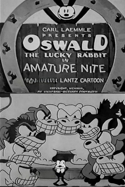 Póster de Amature Nite