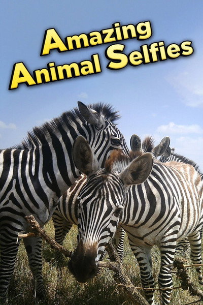 Póster de Amazing Animal Selfies