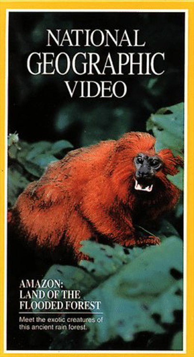 Póster de Amazon: Land of the Flooded Forest