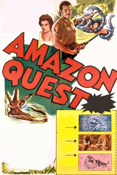 Póster de Amazon Quest