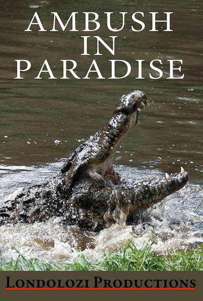 Póster de Ambush in Paradise