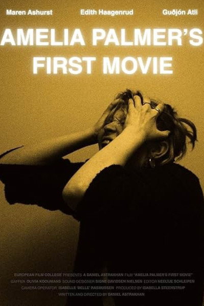 Póster de Amelia Palmer's First Movie