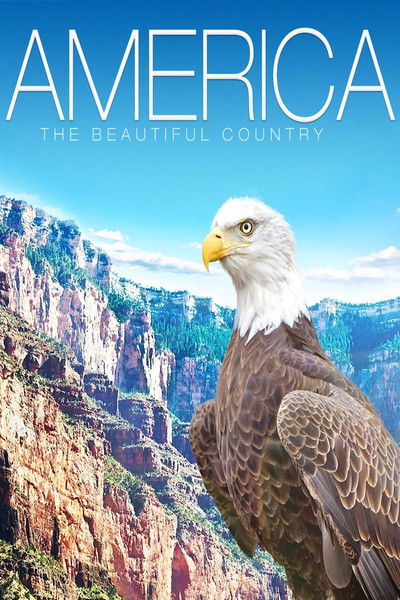 Póster de America - The Beautiful Country