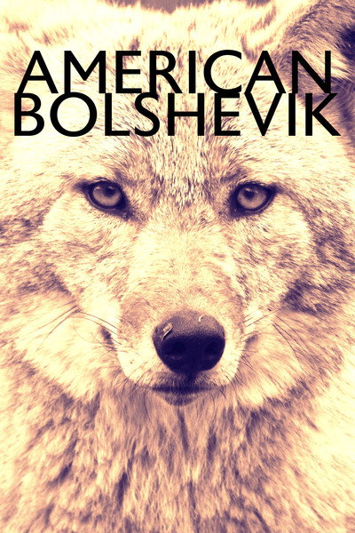 Póster de American Bolshevik