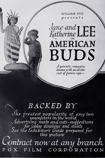 Póster de American Buds