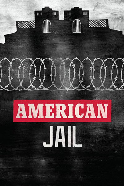 Póster de American Jail